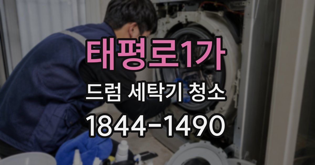태평로1가 드럼 세탁기 청소