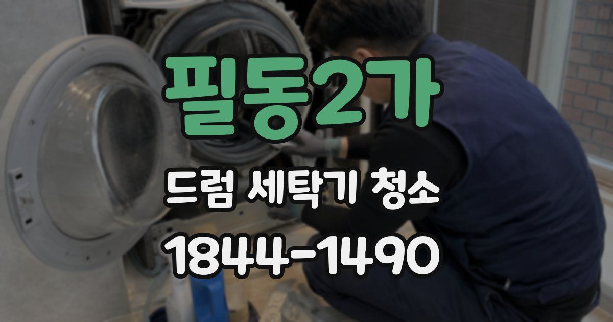 필동2가 드럼 세탁기 청소