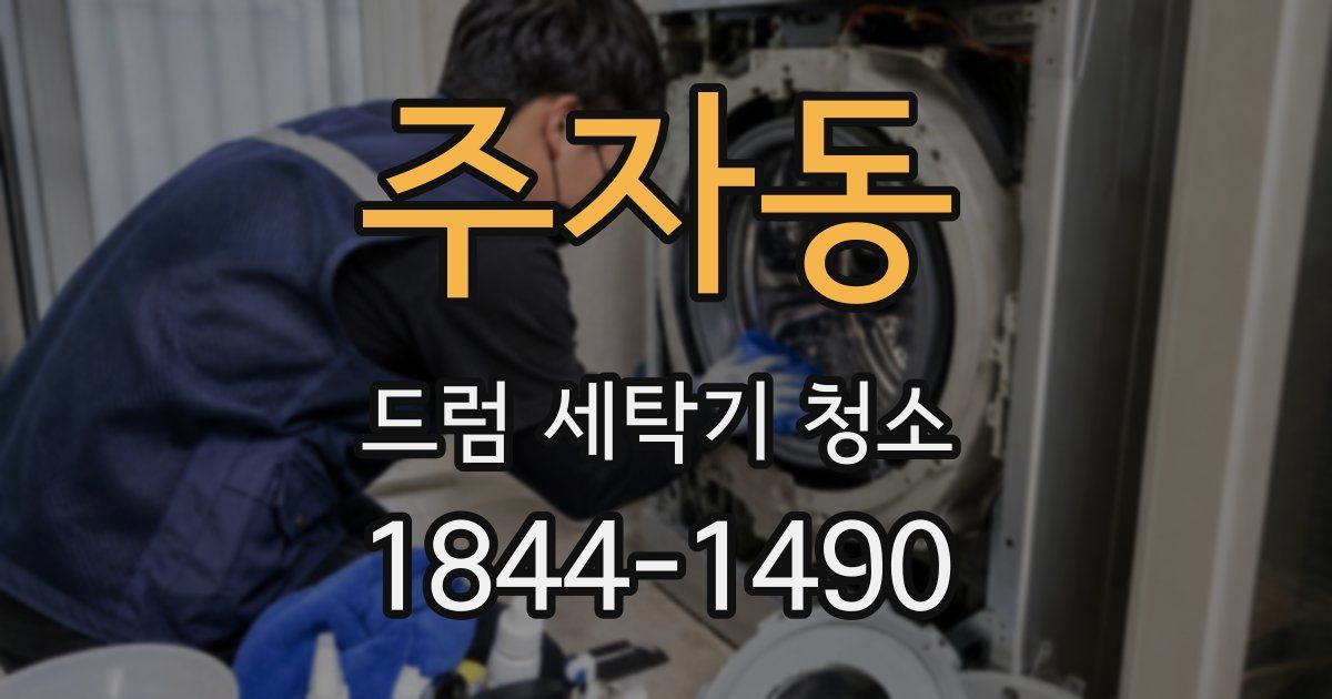 주자동 드럼 세탁기 청소