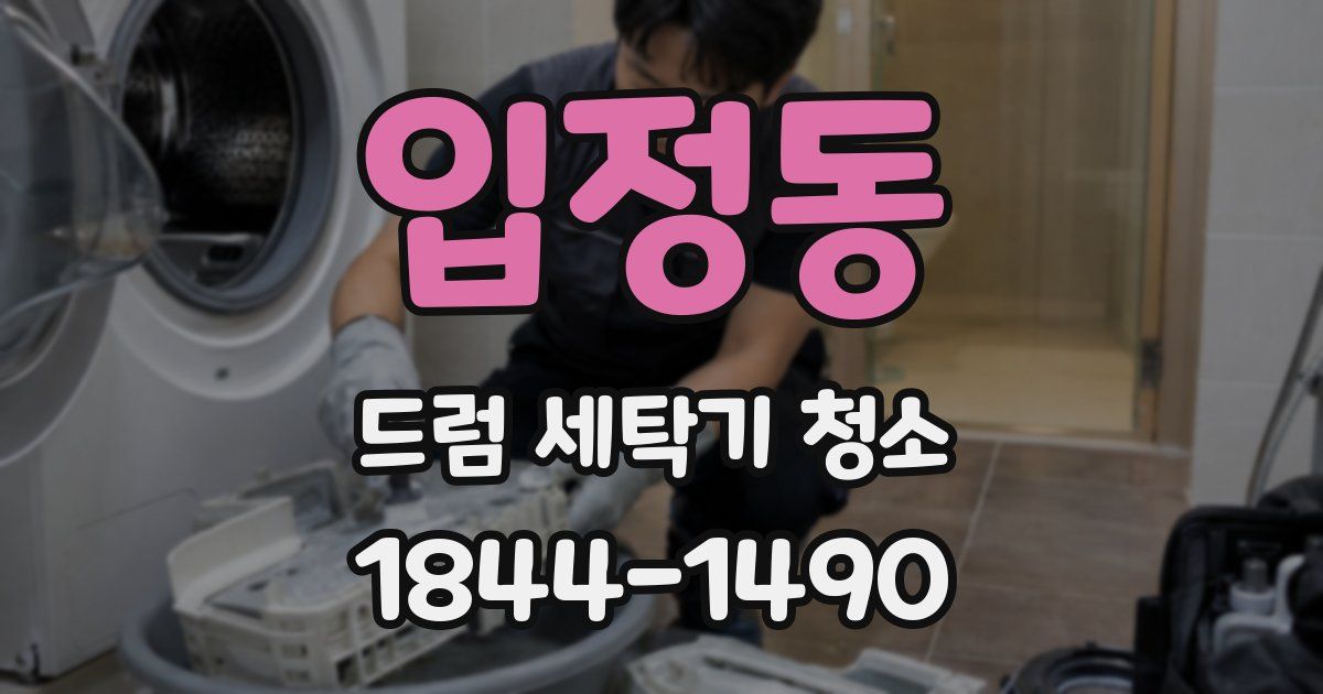 입정동 드럼 세탁기 청소
