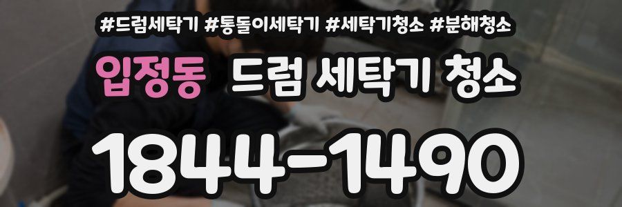 입정동 드럼 세탁기 청소