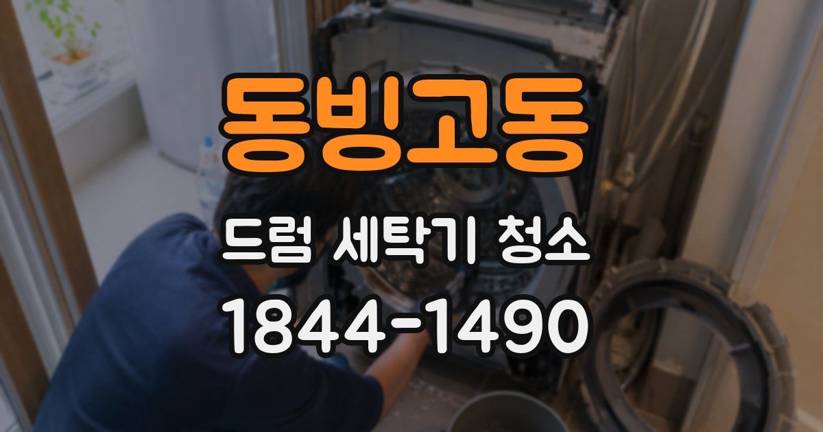 동빙고동 드럼 세탁기 청소