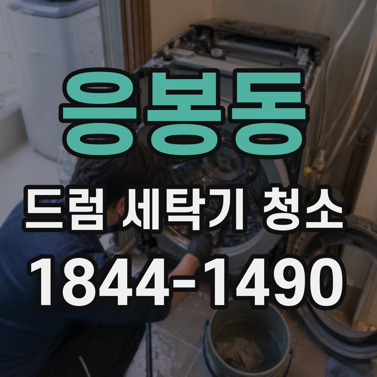 응봉동 드럼 세탁기 청소