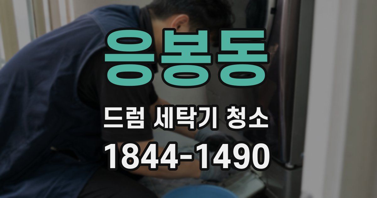 응봉동 드럼 세탁기 청소