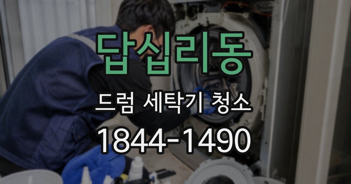 답십리동 드럼 세탁기 청소