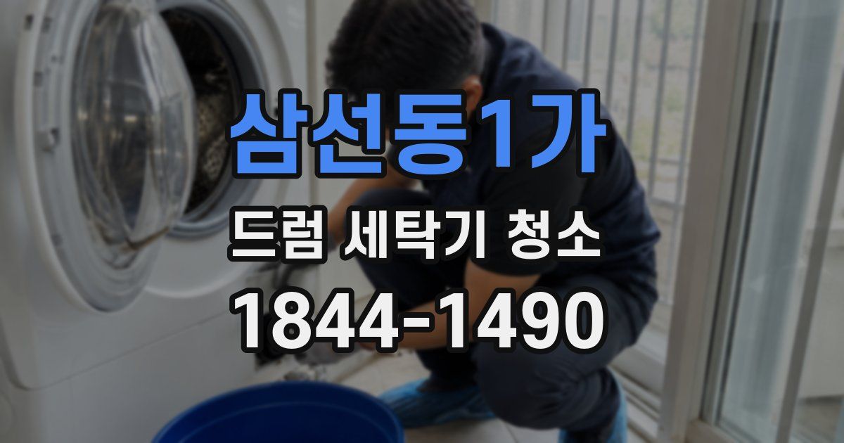 삼선동1가 드럼 세탁기 청소