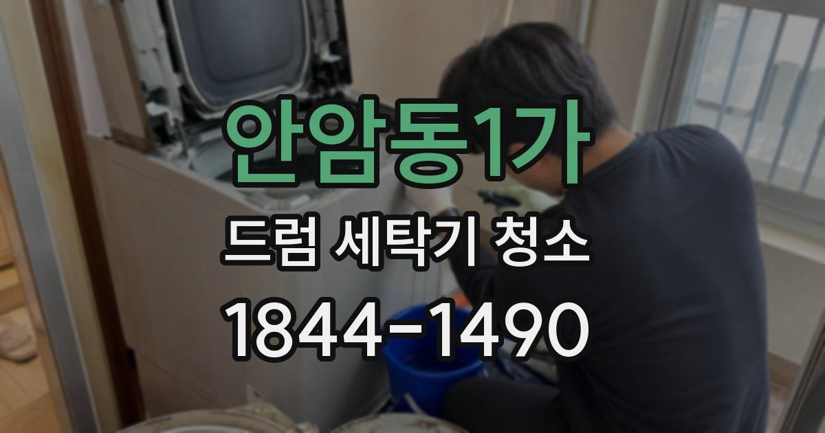 안암동1가 드럼 세탁기 청소