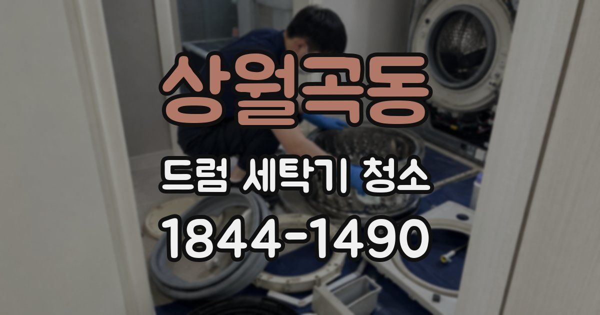 상월곡동 드럼 세탁기 청소