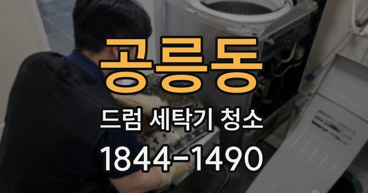 공릉동 드럼 세탁기 청소
