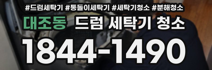 대조동 드럼 세탁기 청소