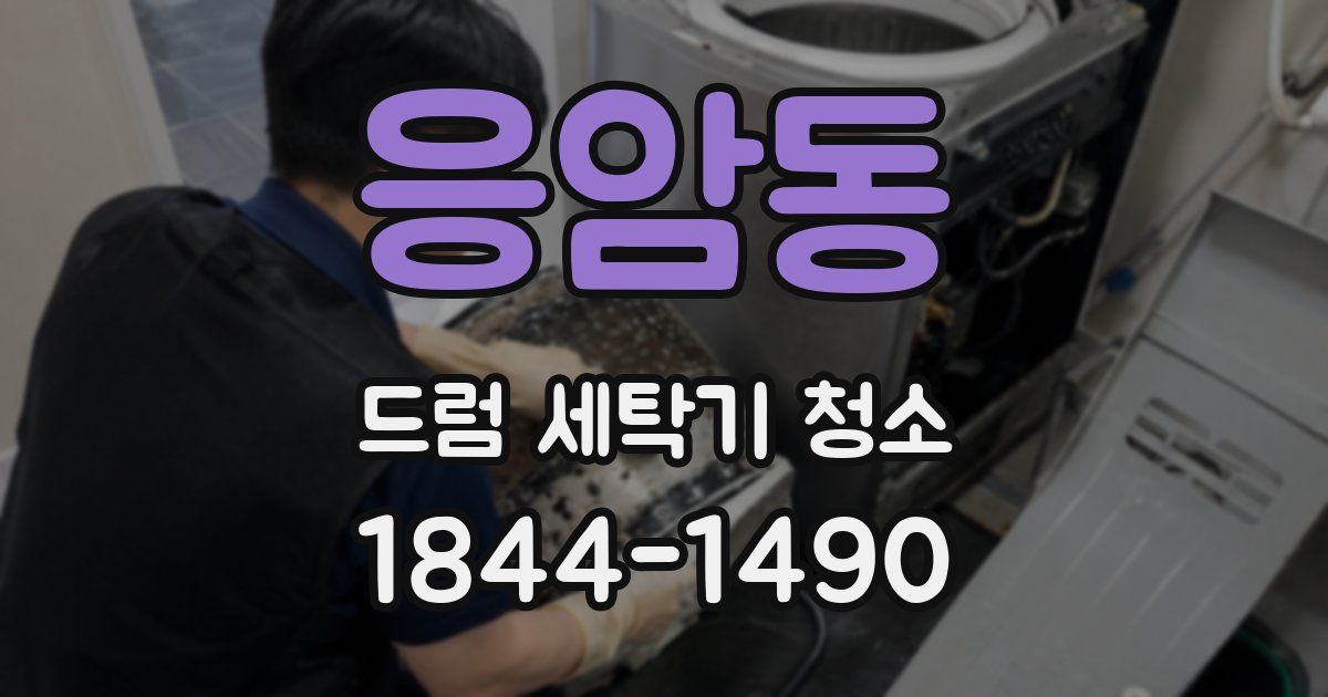 응암동 드럼 세탁기 청소