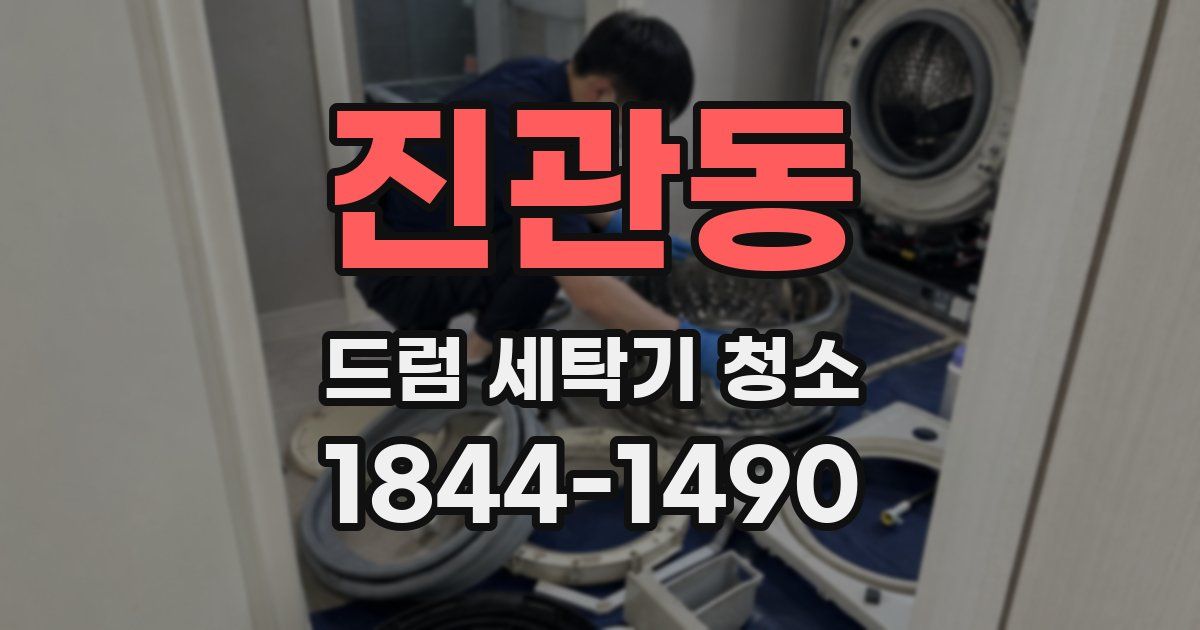 진관동 드럼 세탁기 청소