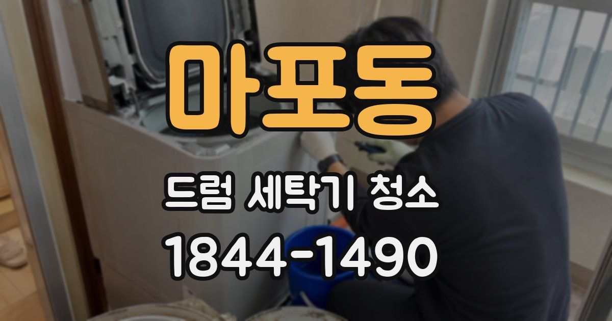 마포동 드럼 세탁기 청소