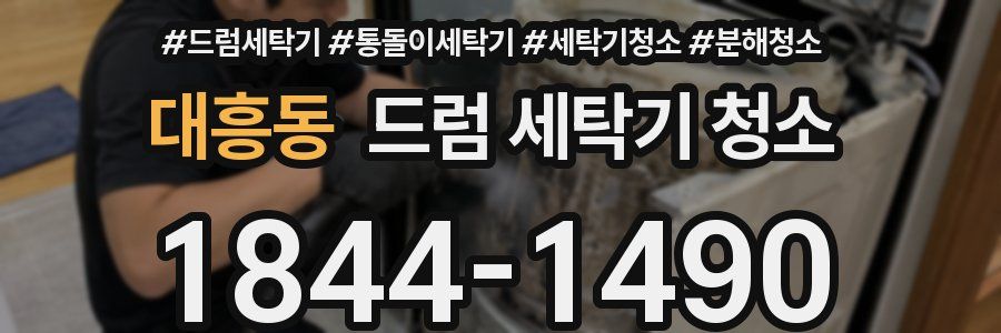 대흥동 드럼 세탁기 청소