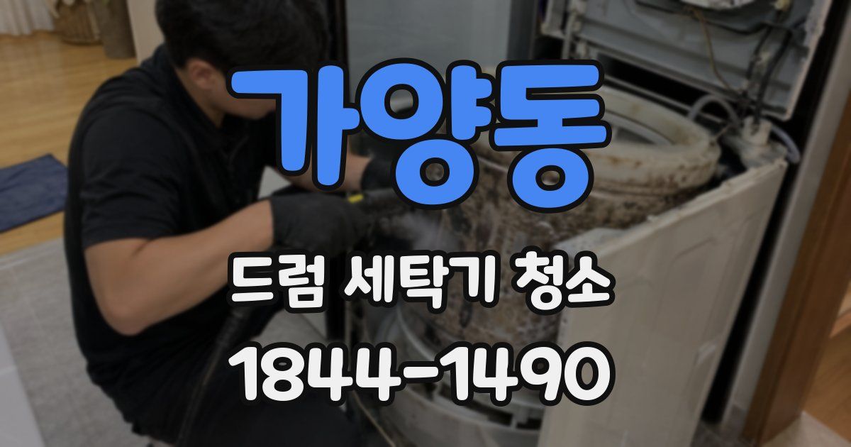 가양동 드럼 세탁기 청소