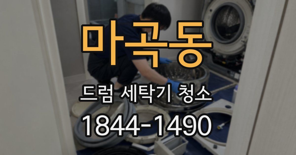 마곡동 드럼 세탁기 청소