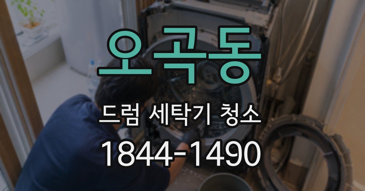 오곡동 드럼 세탁기 청소