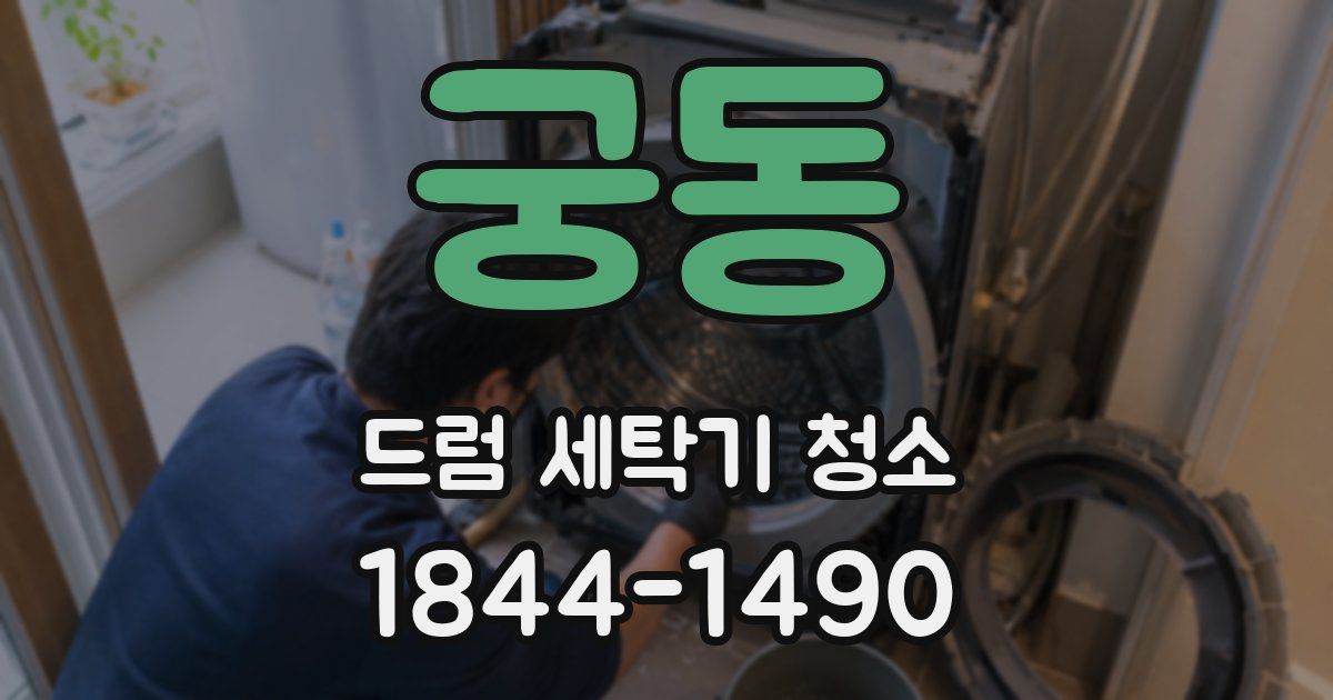 궁동 드럼 세탁기 청소