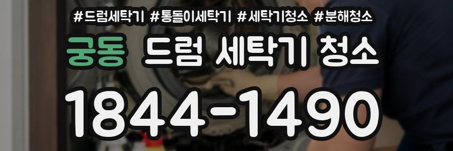 궁동 드럼 세탁기 청소