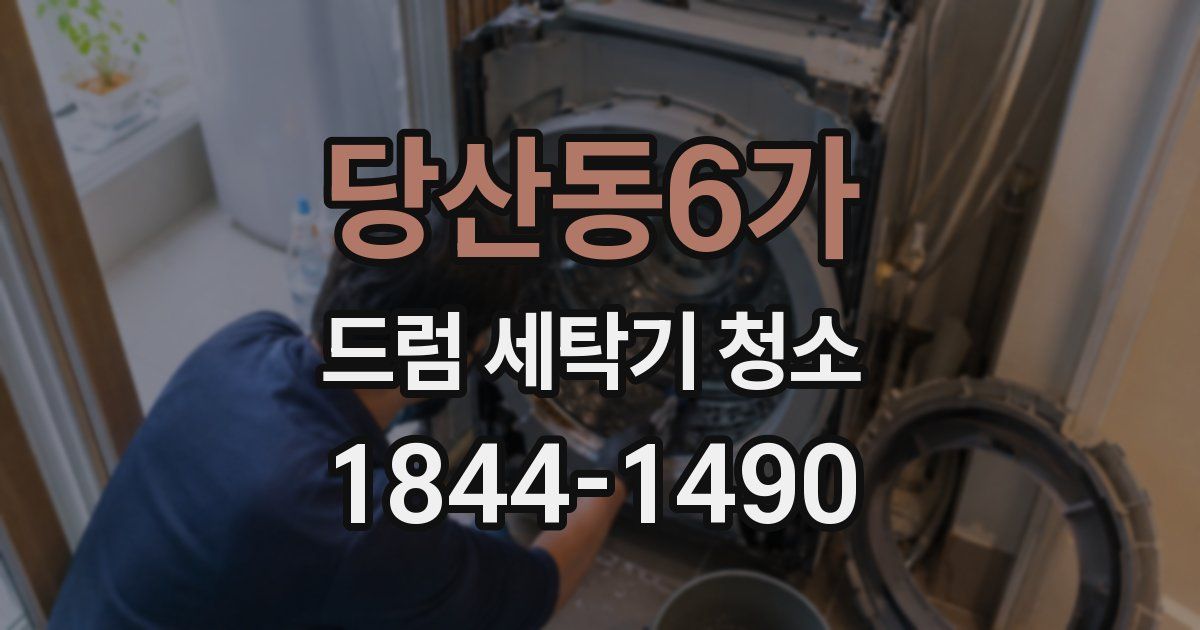 당산동6가 드럼 세탁기 청소