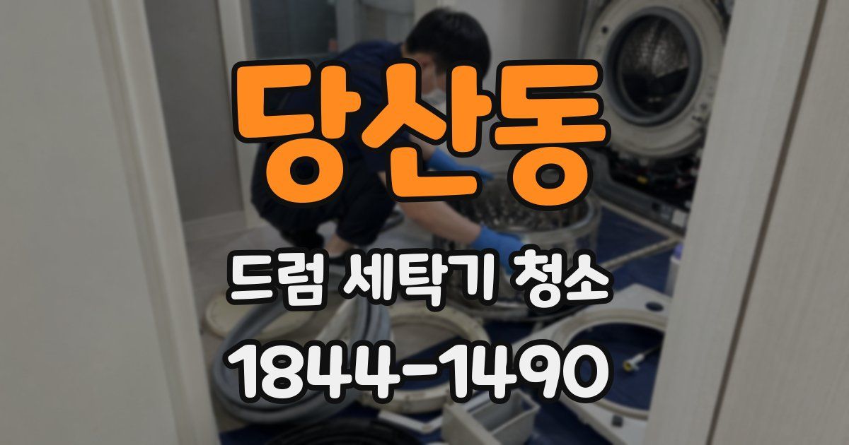 당산동 드럼 세탁기 청소