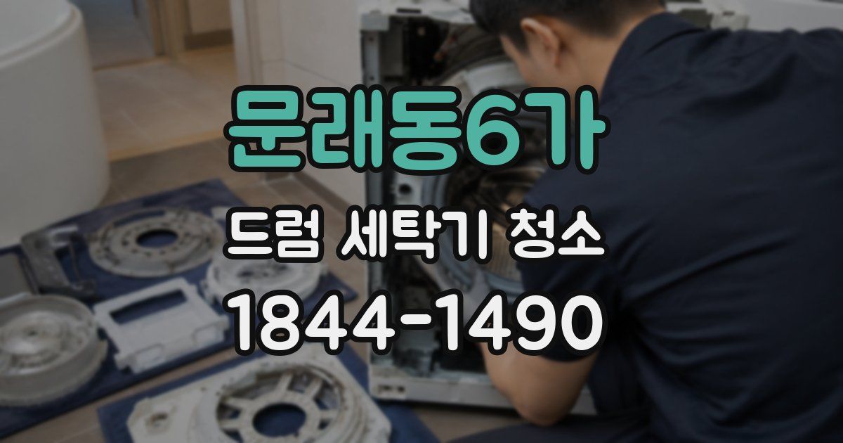 문래동6가 드럼 세탁기 청소
