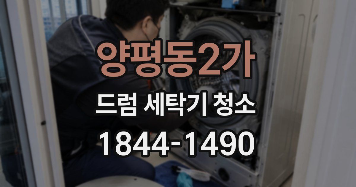 양평동2가 드럼 세탁기 청소