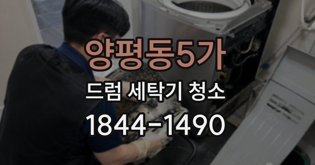 양평동5가 드럼 세탁기 청소