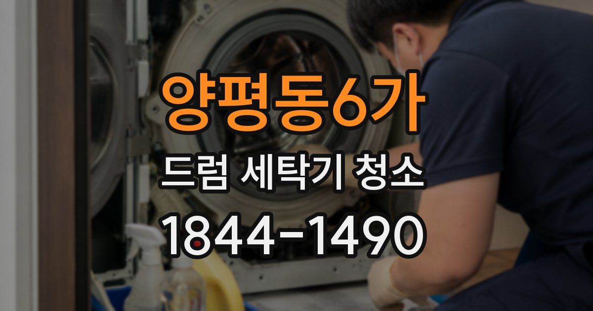 양평동6가 드럼 세탁기 청소