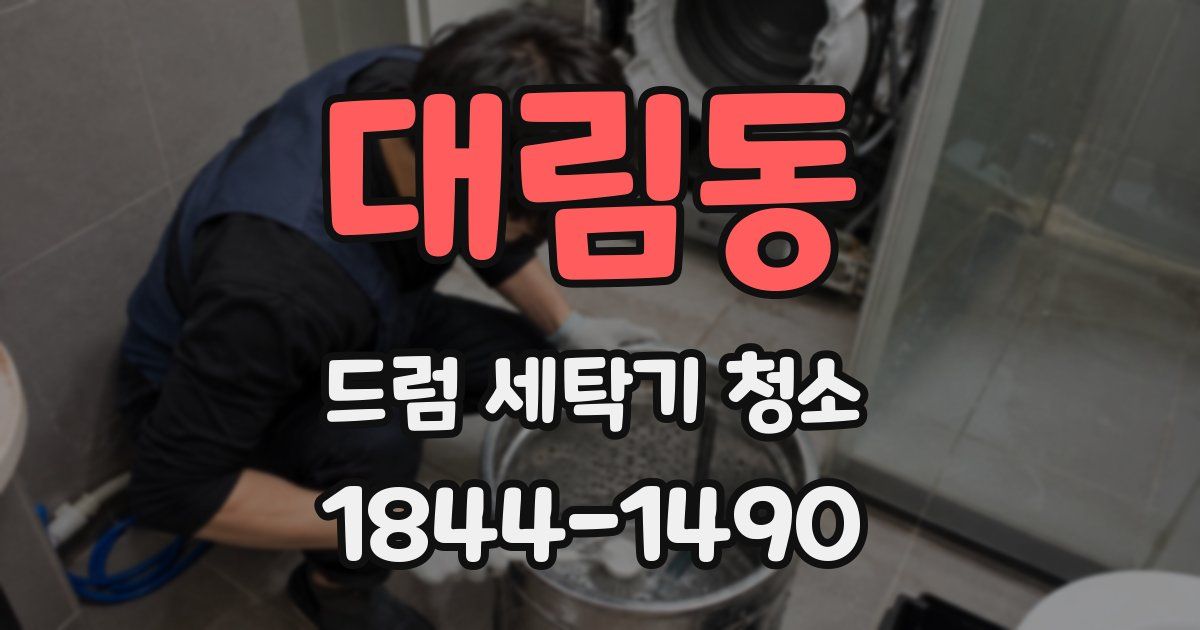 대림동 드럼 세탁기 청소