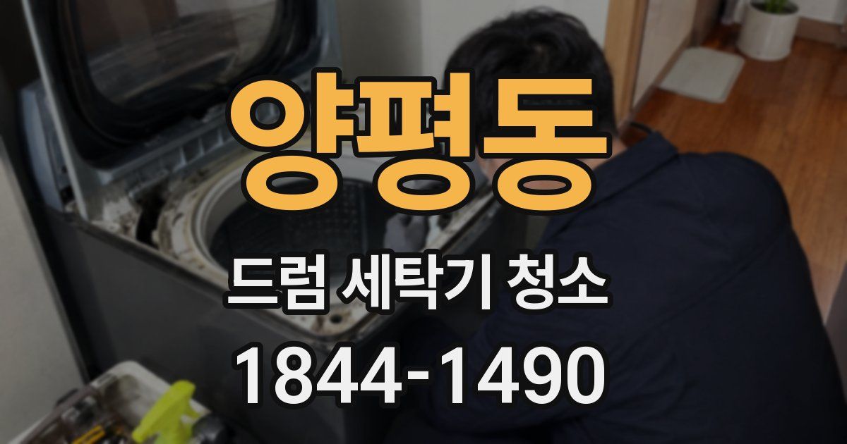 양평동 드럼 세탁기 청소