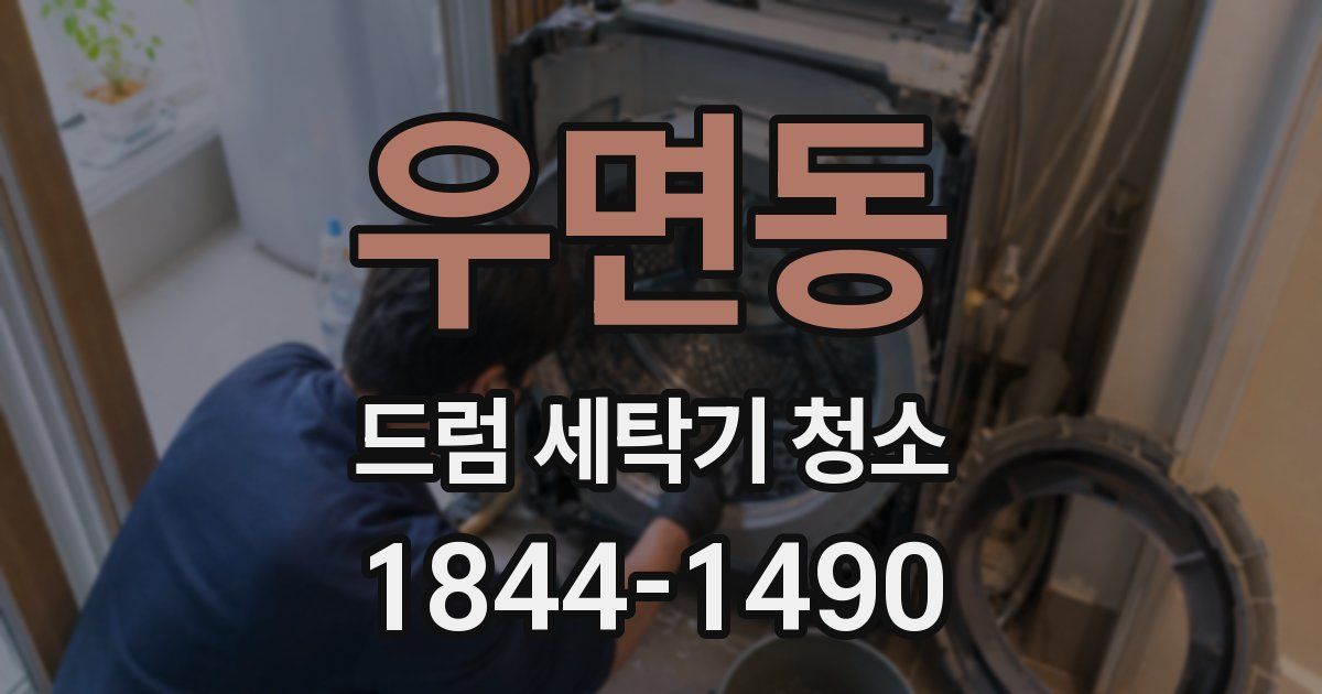 우면동 드럼 세탁기 청소