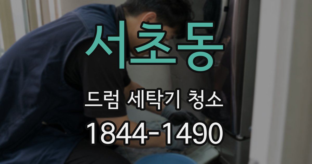 서초동 드럼 세탁기 청소