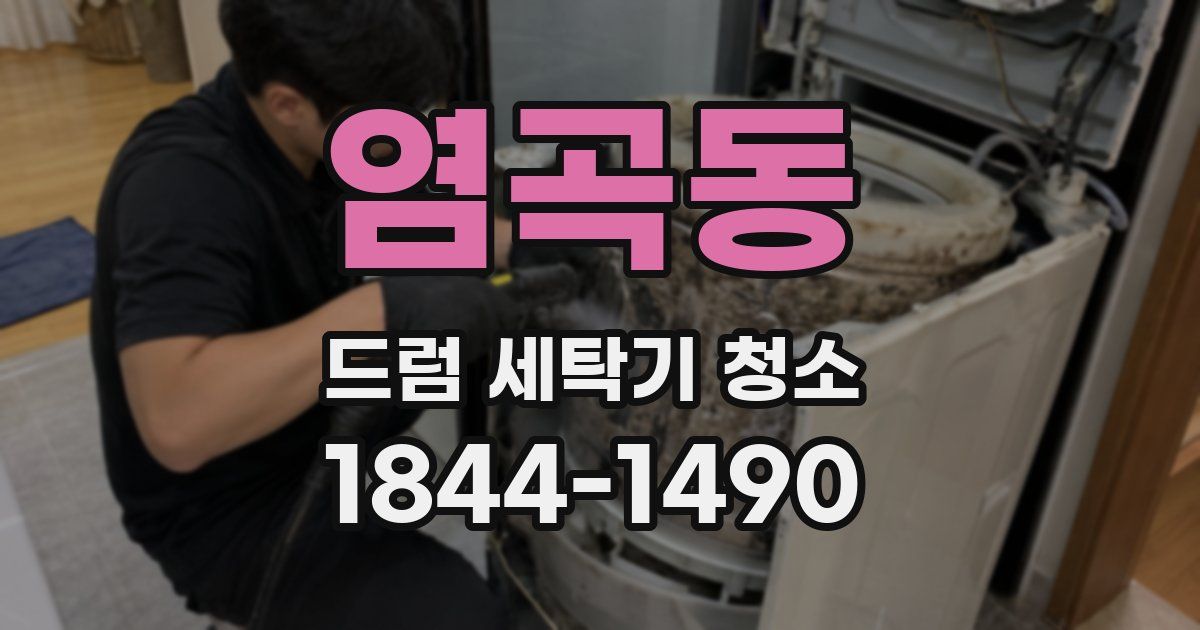 염곡동 드럼 세탁기 청소