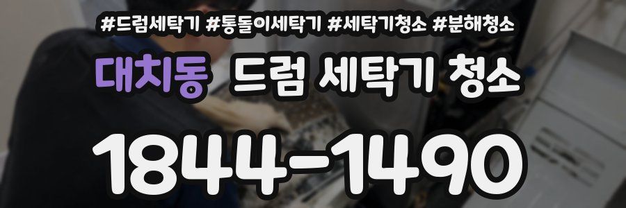 대치동 드럼 세탁기 청소
