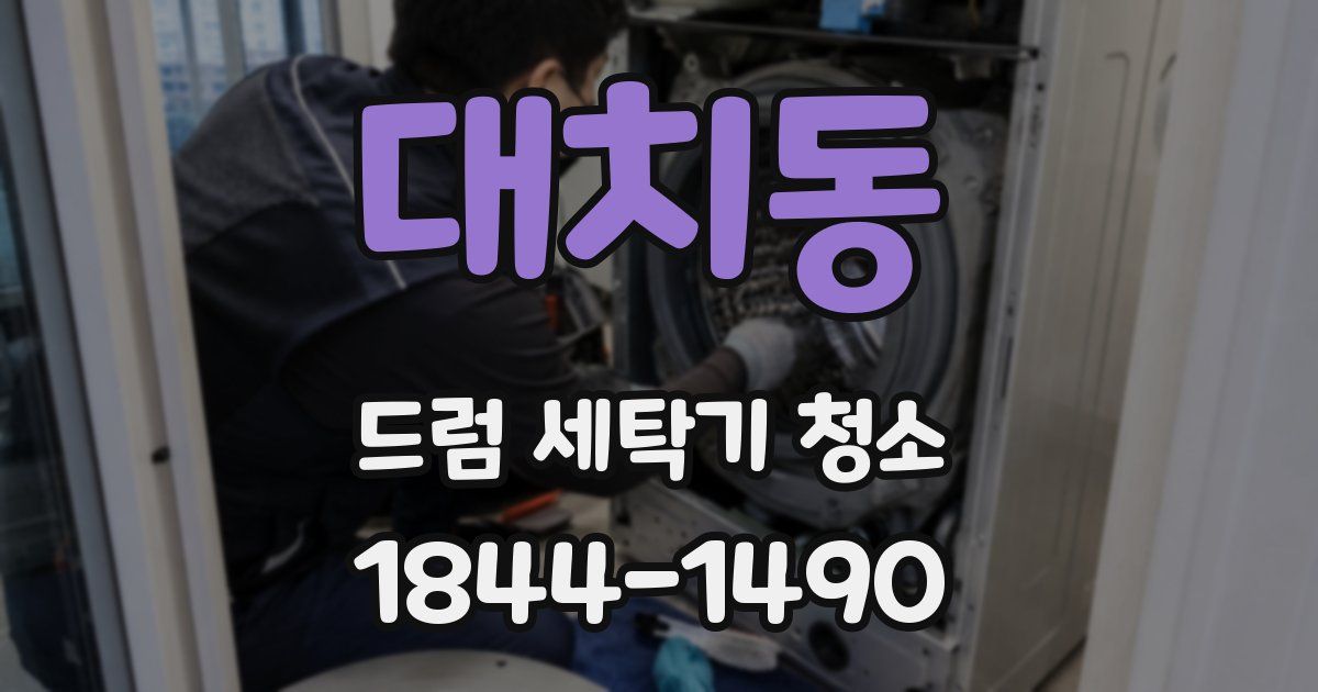 대치동 드럼 세탁기 청소