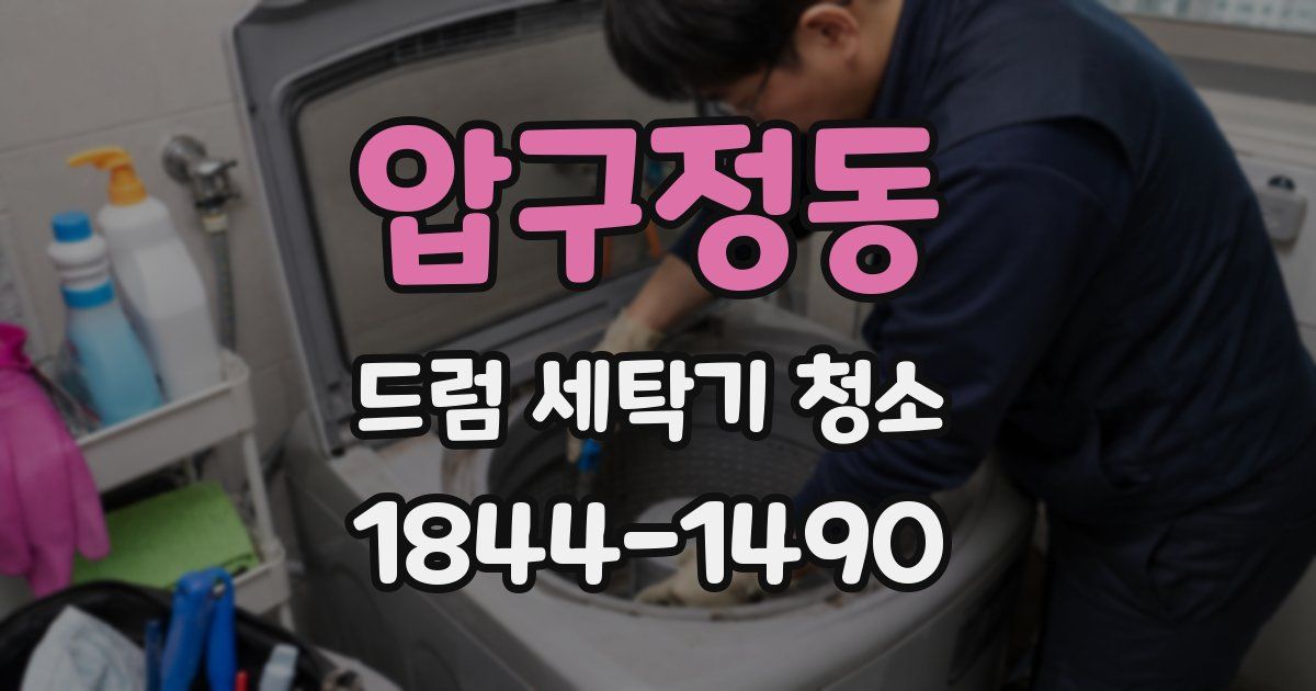 압구정동 드럼 세탁기 청소
