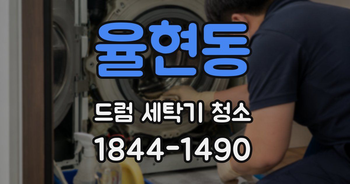 율현동 드럼 세탁기 청소