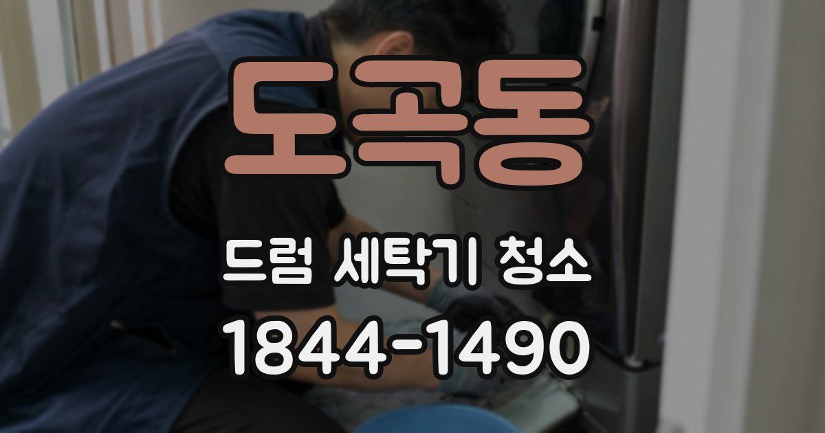 도곡동 드럼 세탁기 청소