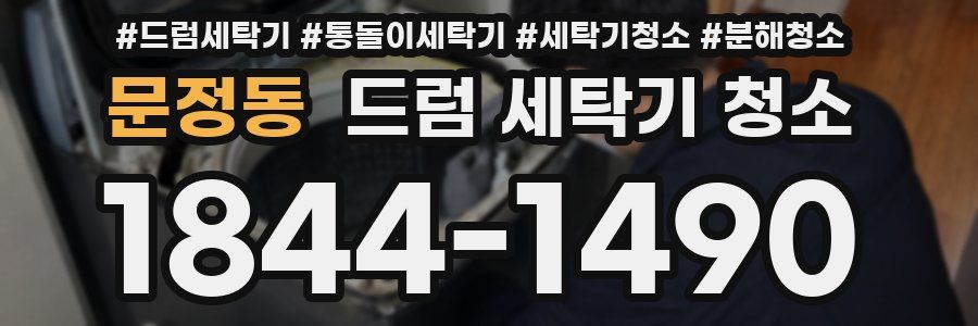 문정동 드럼 세탁기 청소