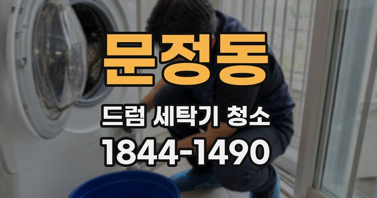 문정동 드럼 세탁기 청소
