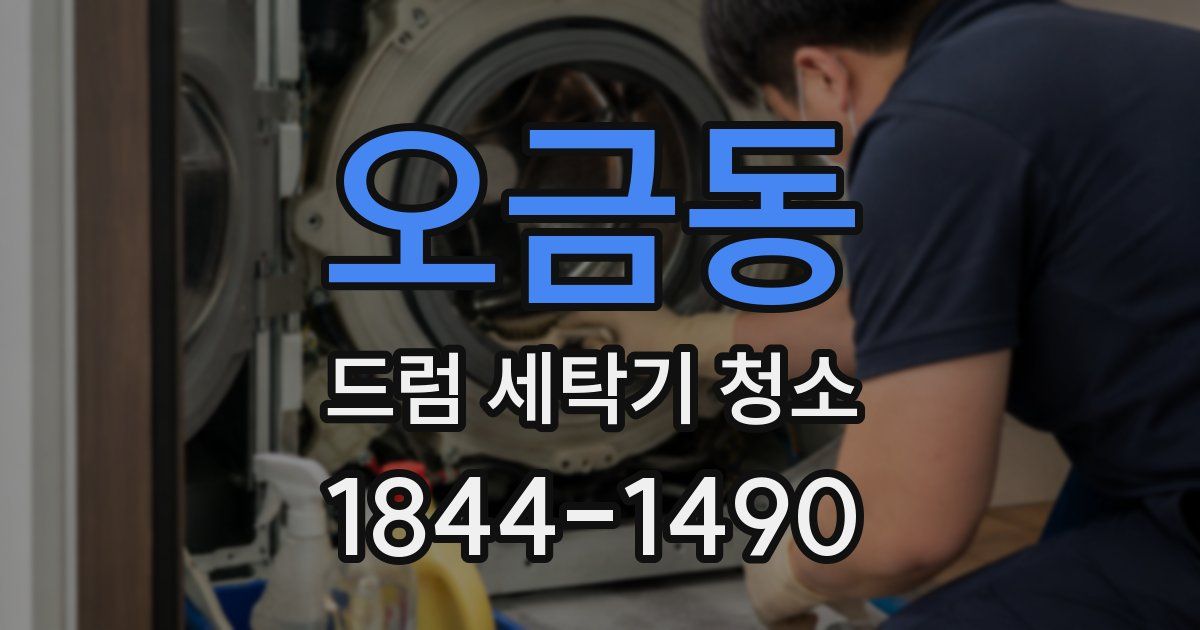오금동 드럼 세탁기 청소