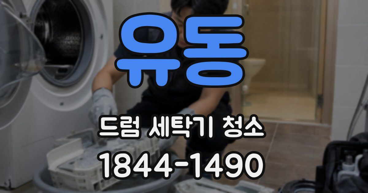 유동 드럼 세탁기 청소