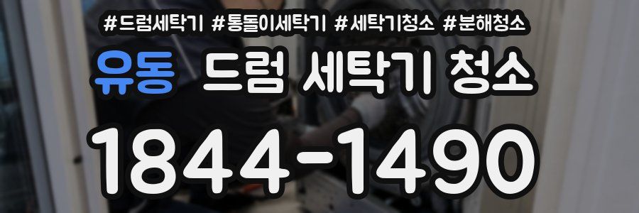 유동 드럼 세탁기 청소