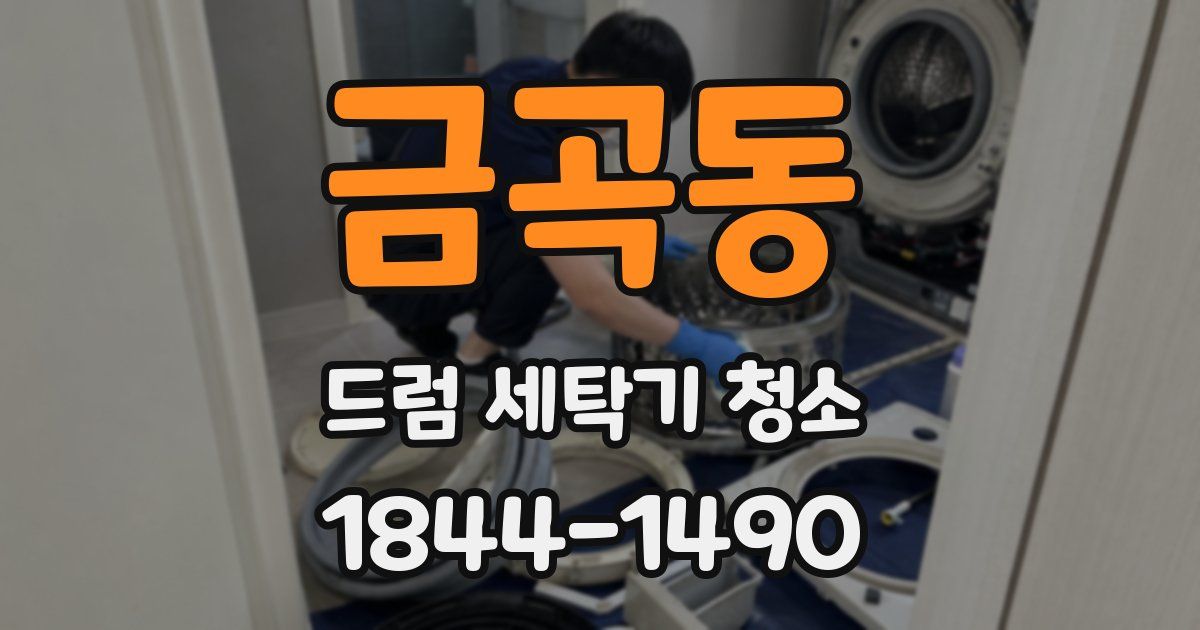 금곡동 드럼 세탁기 청소