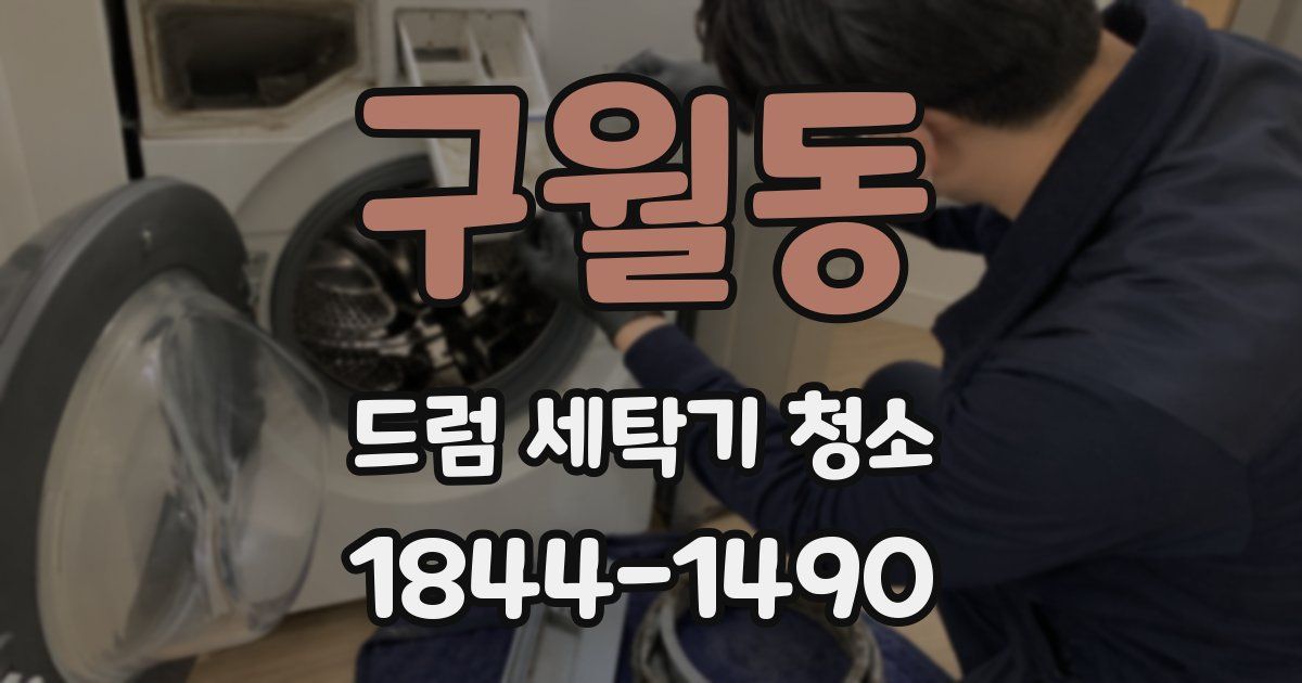 구월동 드럼 세탁기 청소