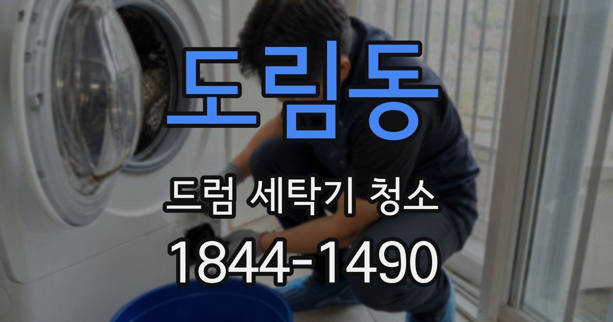 도림동 드럼 세탁기 청소