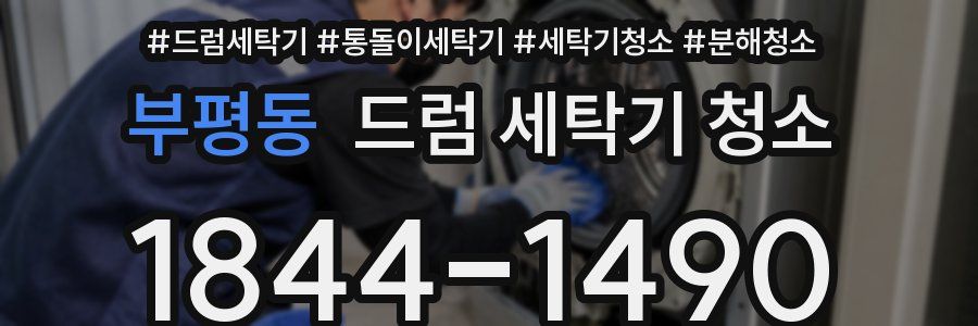 부평동 드럼 세탁기 청소