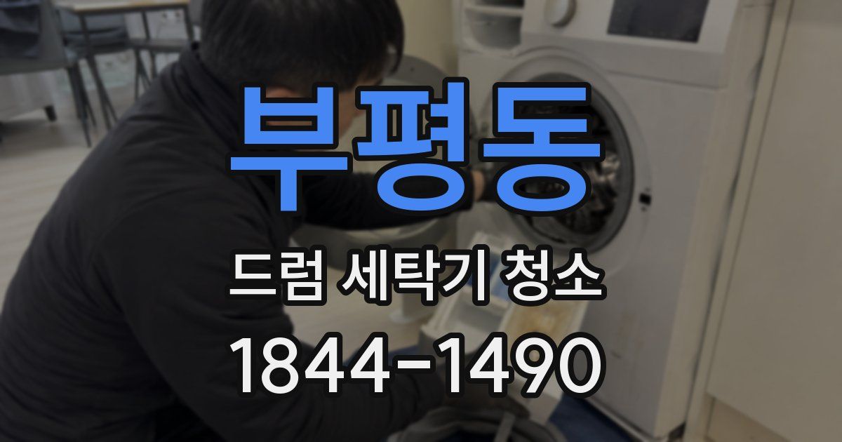 부평동 드럼 세탁기 청소