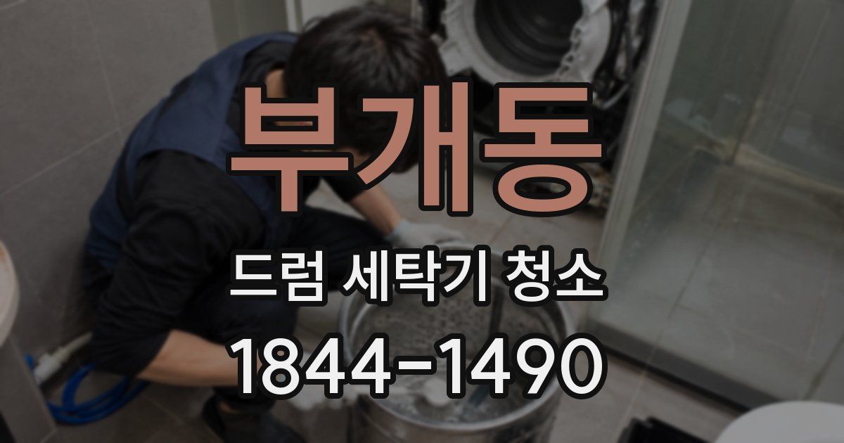 부개동 드럼 세탁기 청소